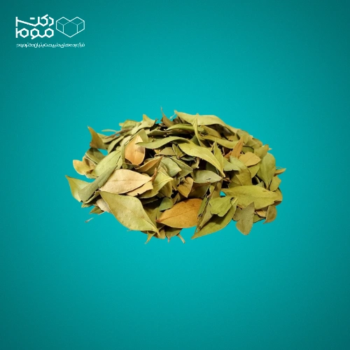 برگ مورد دکتر موم